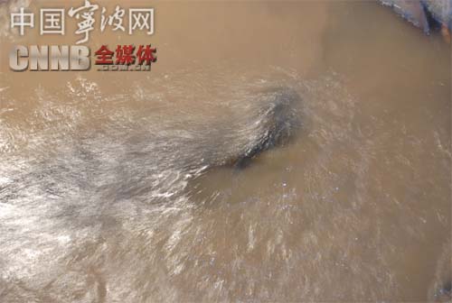 2009073110055767 首页-OG视讯厅官方网站